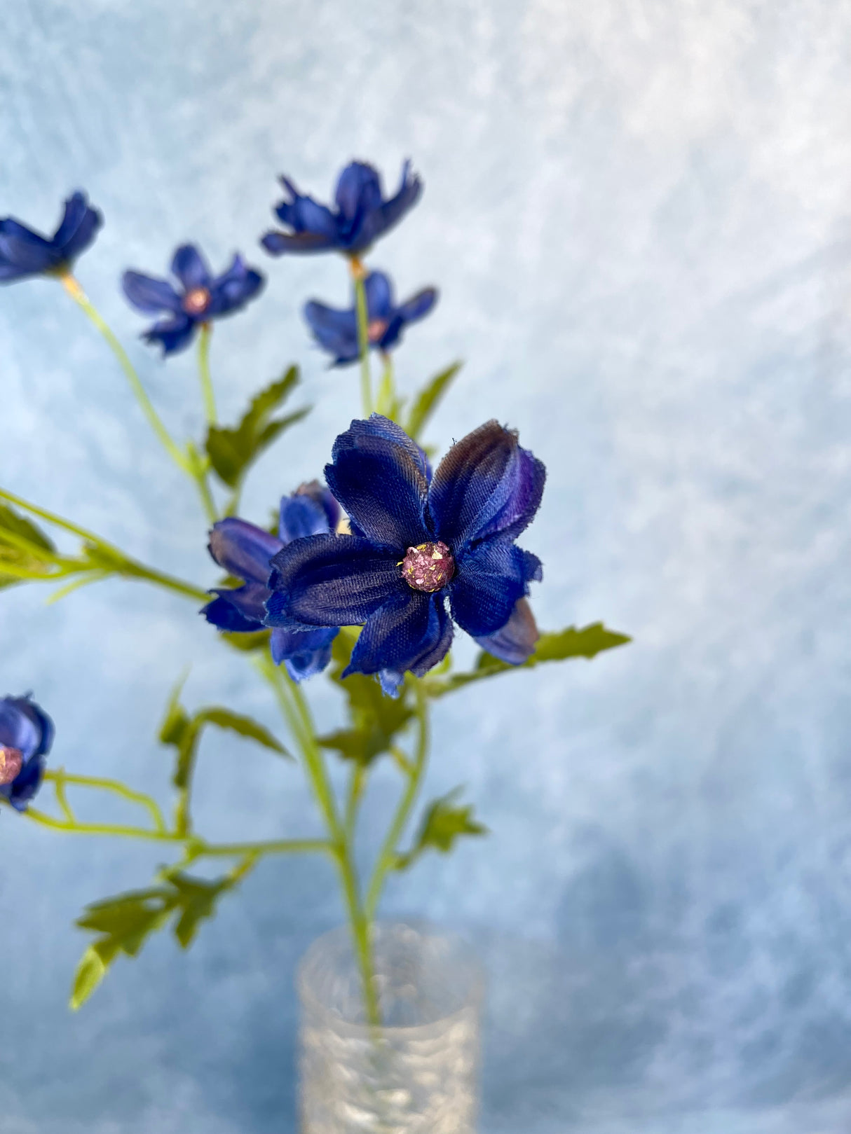 Blue Mini Cosmos Spray