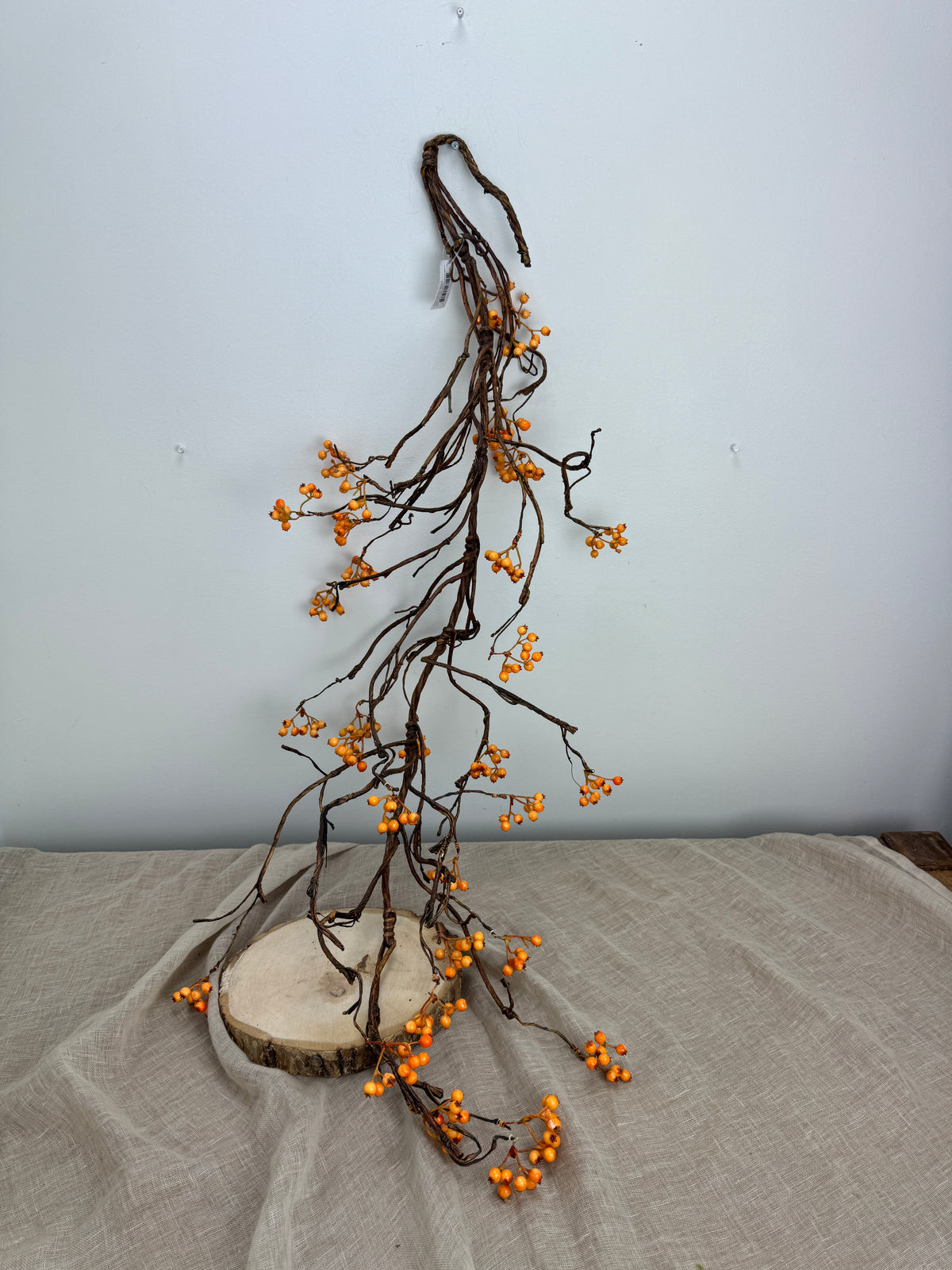 Bendy Bittersweet Branch