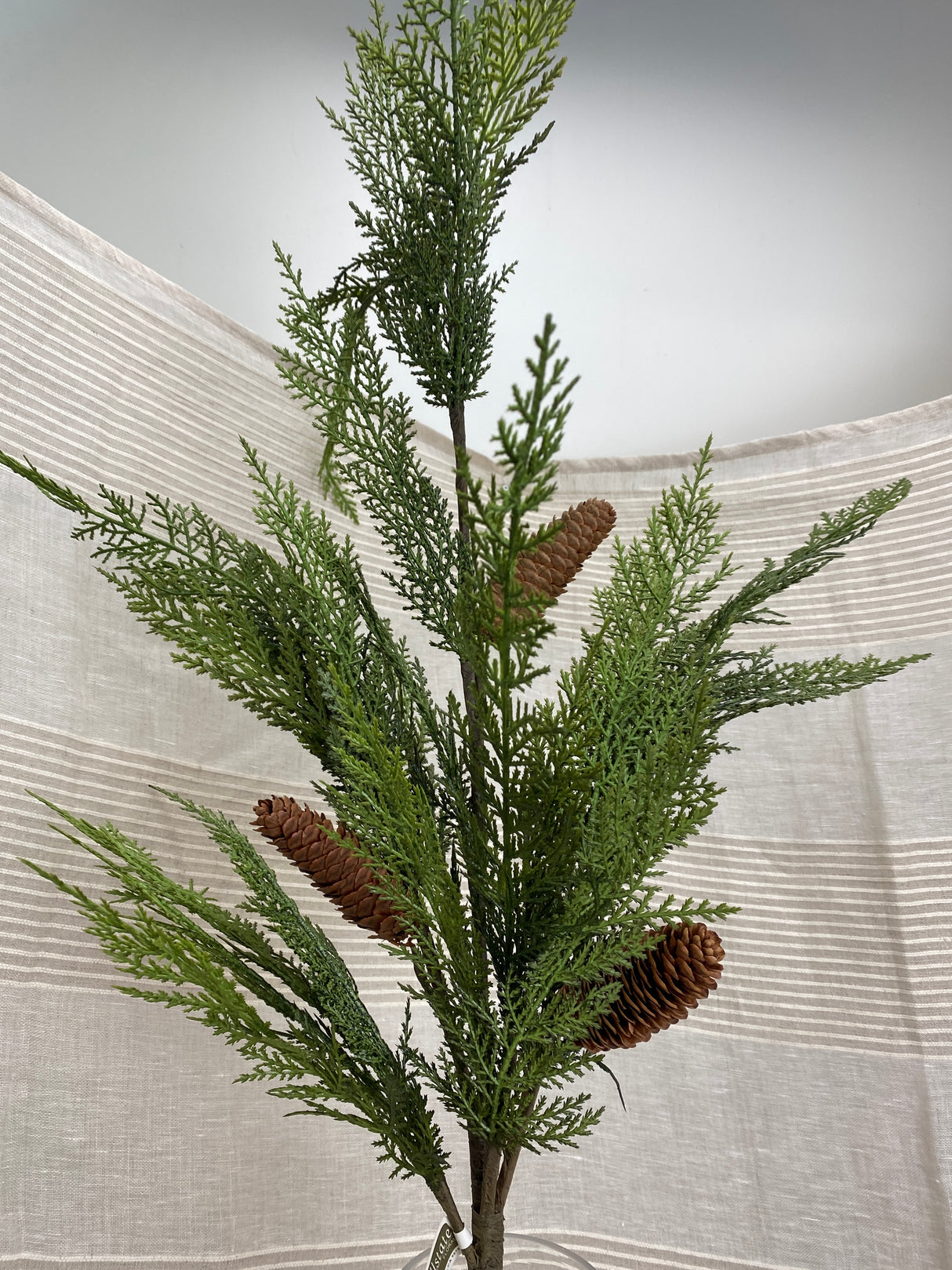 Drama Pinecone Cedar Spray