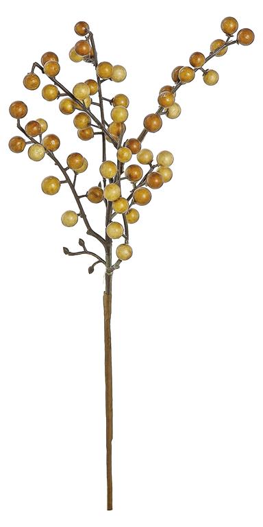 Beige Berry Pick