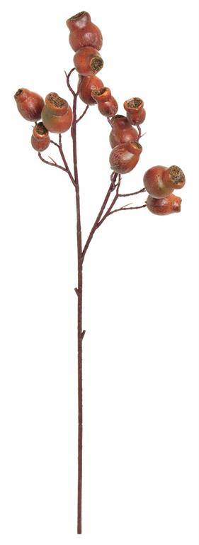 Orange Eucalyptus Pod Spray