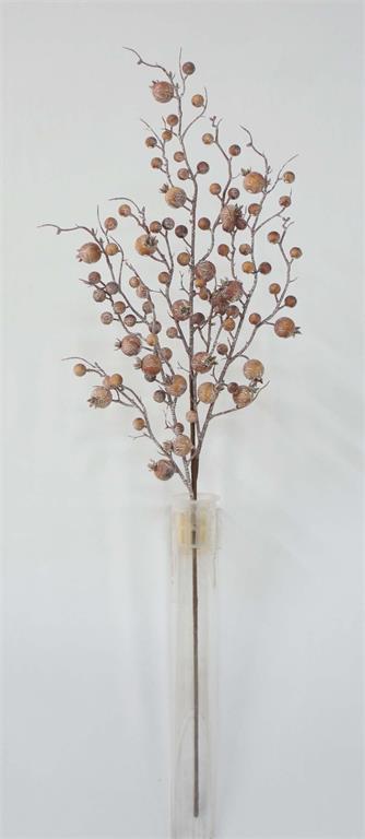 Hazelnut Currant Berry Branch