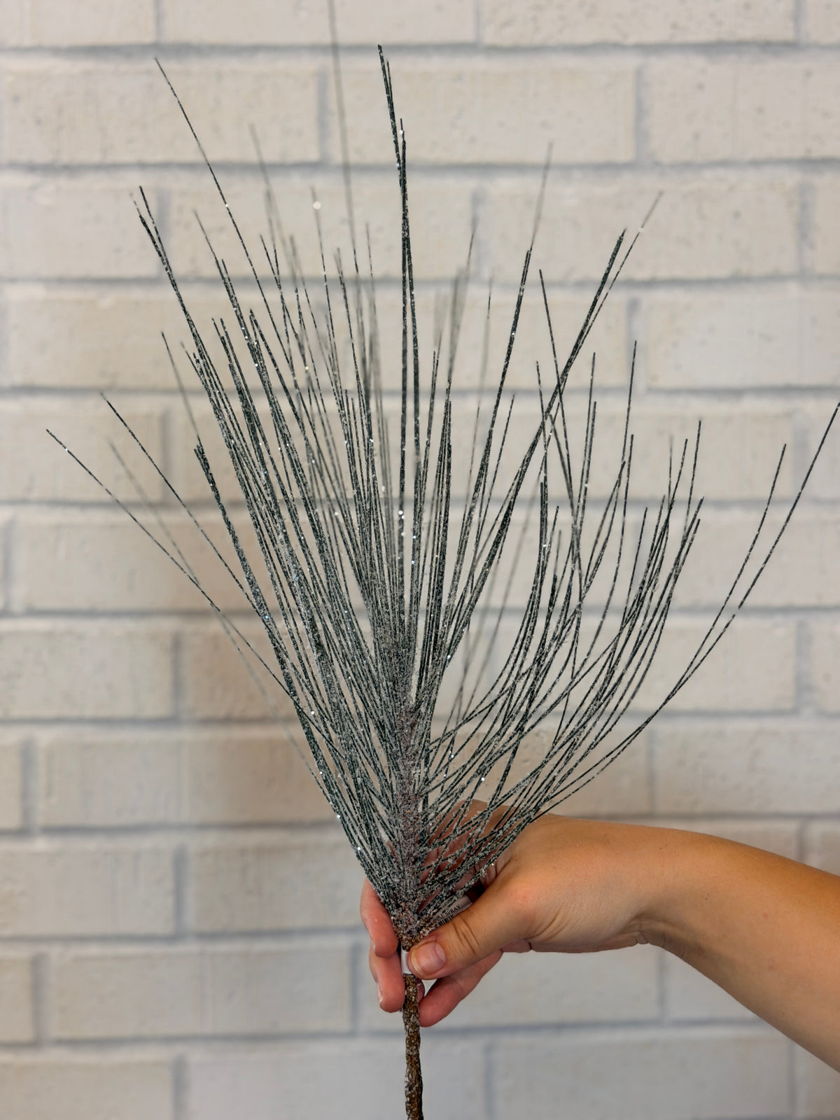 Snowy Long Needle Pine Spray