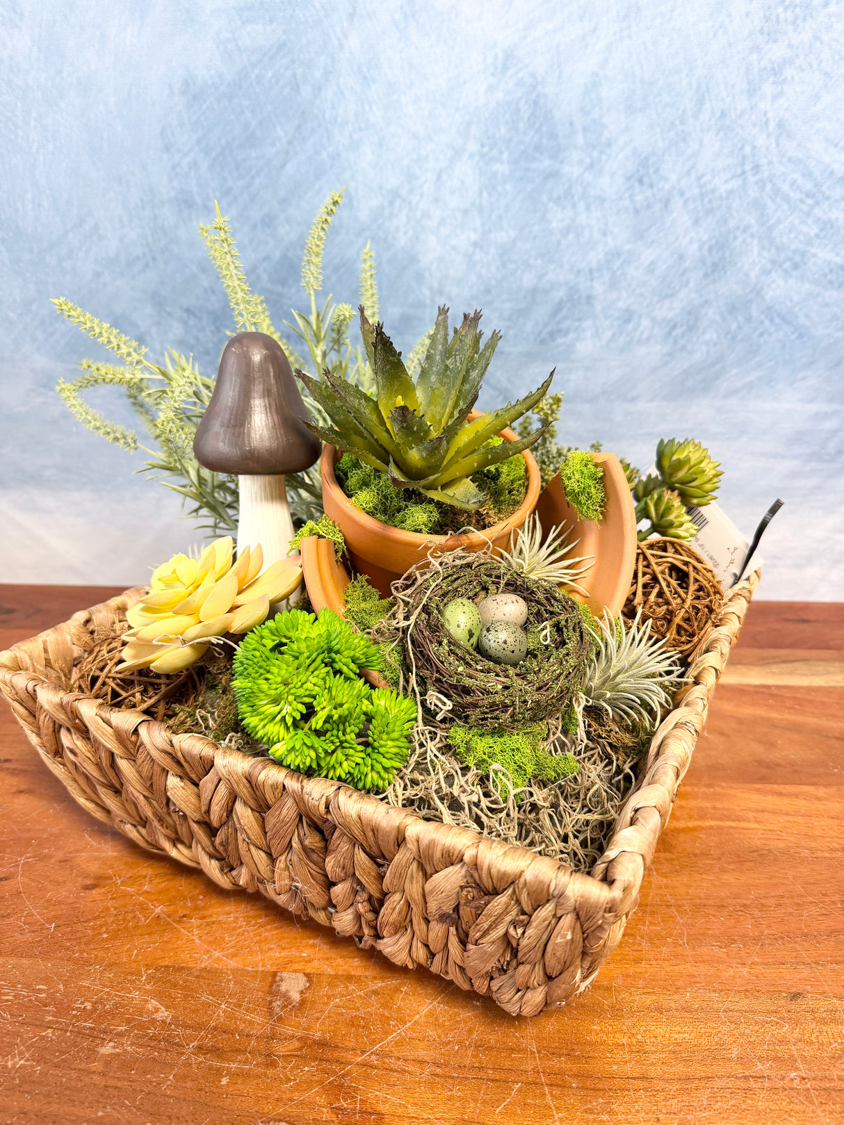 12" Succulent Garden Dish Centerpiece