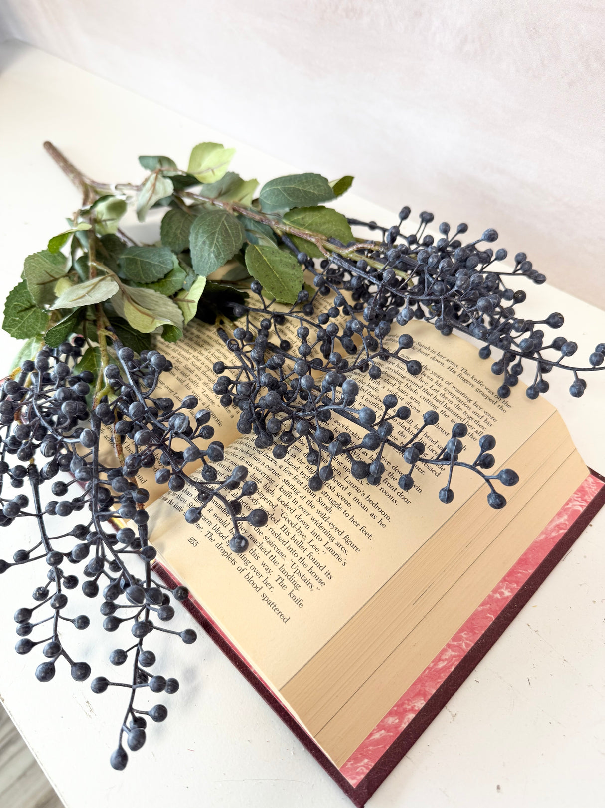 Dark Blue Foliage Seed Bush