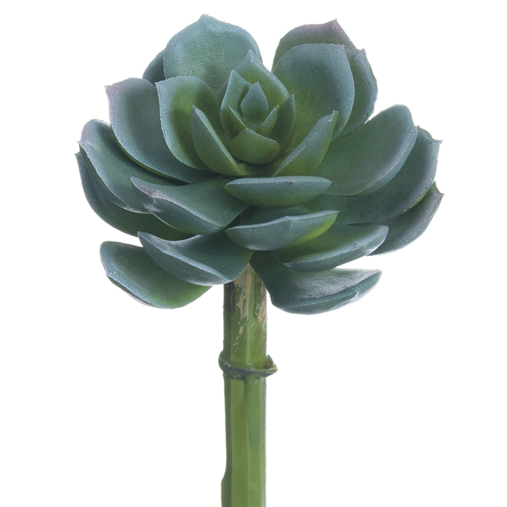 Blue Gray Real Touch Echeveria Pick