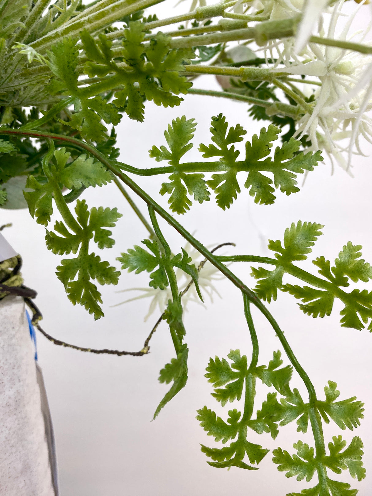 35" White Beauty Drop-in