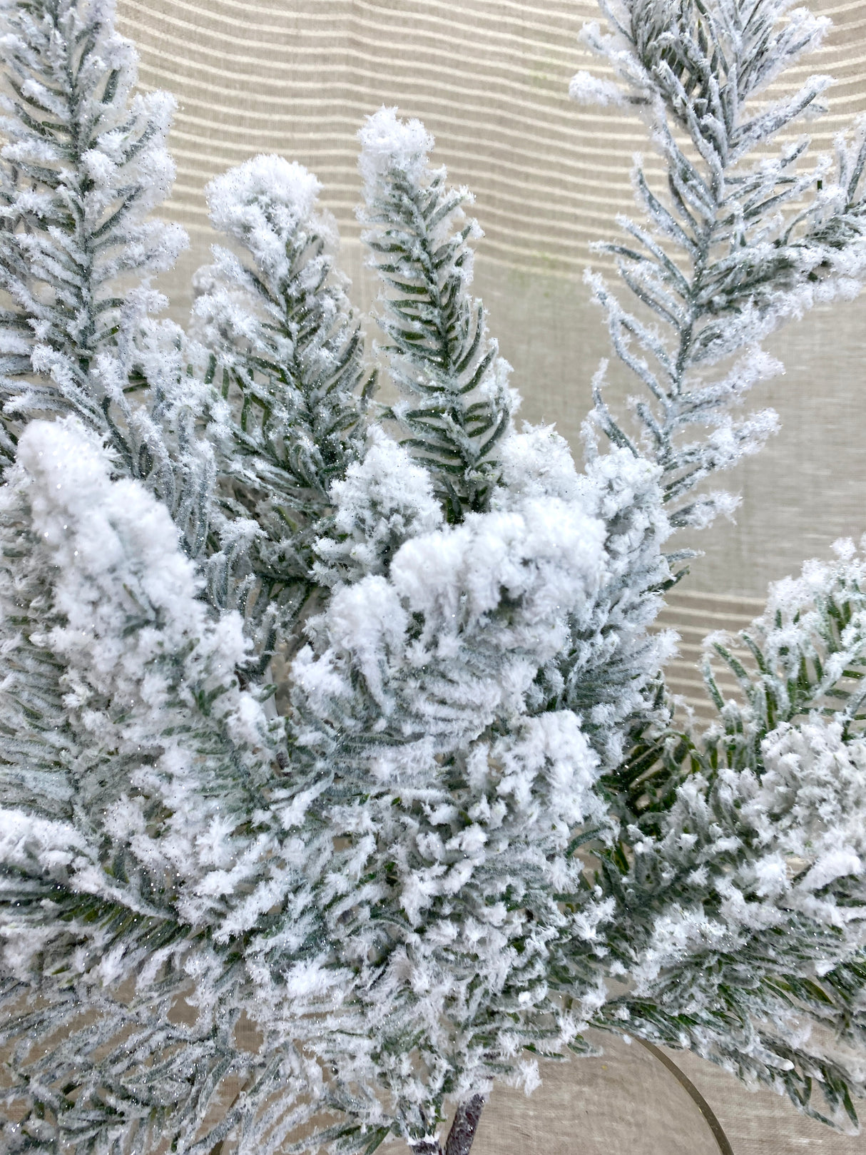 Winterfest Snowed Pine Spray