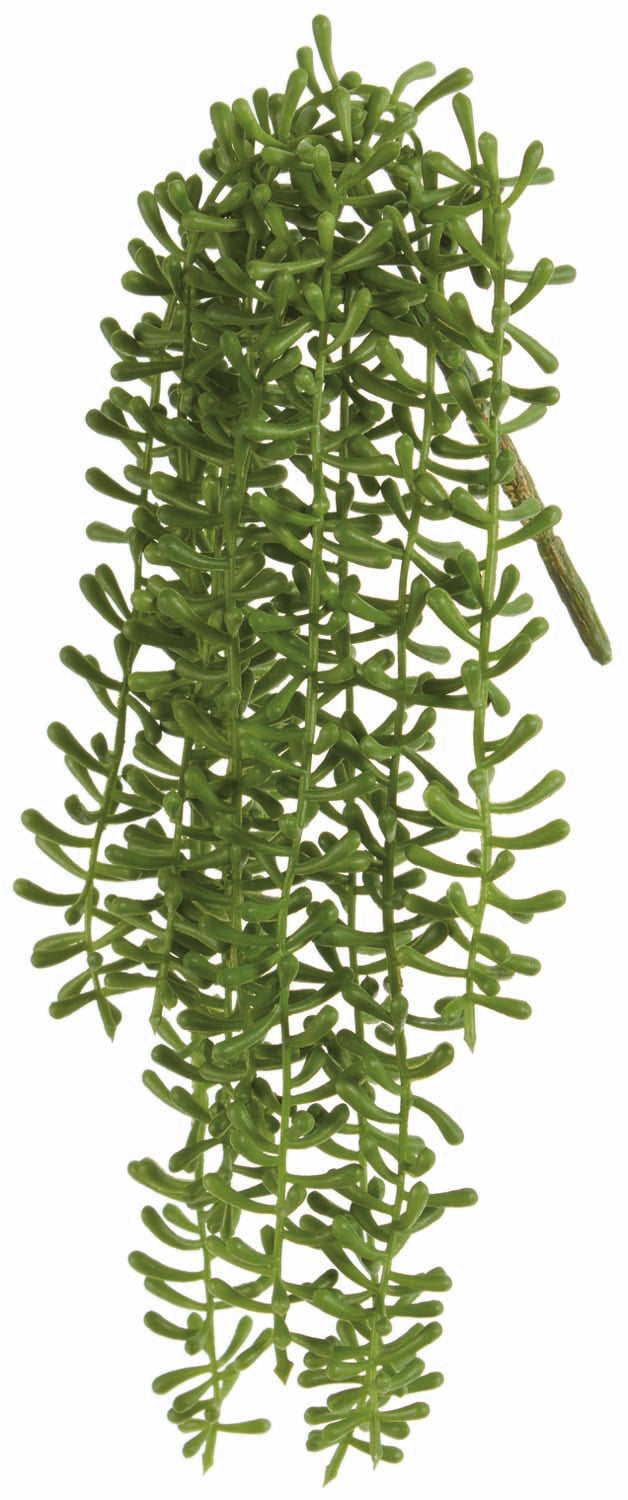 UV Protect String Of Fishooks Spray