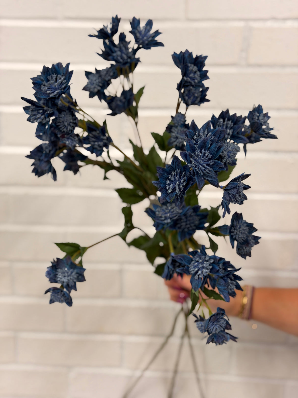 Blue Astrantia Spray