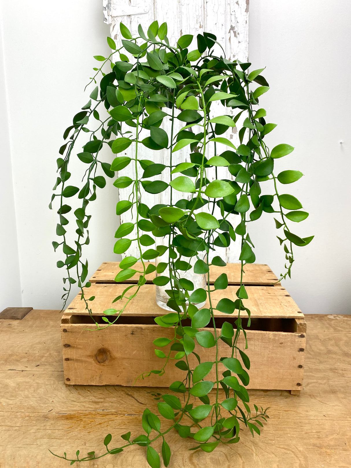 UV Protect Green Lipstick Vine