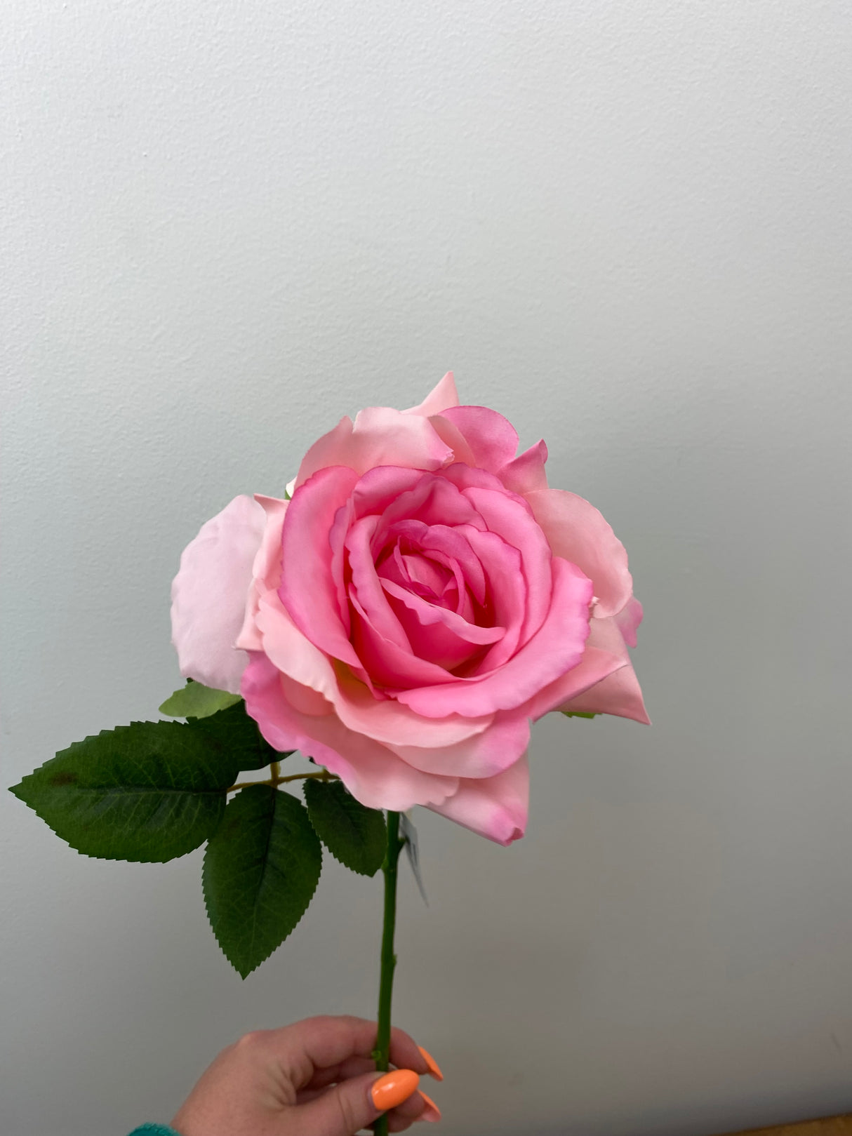 Blossom Pink Rose Stem