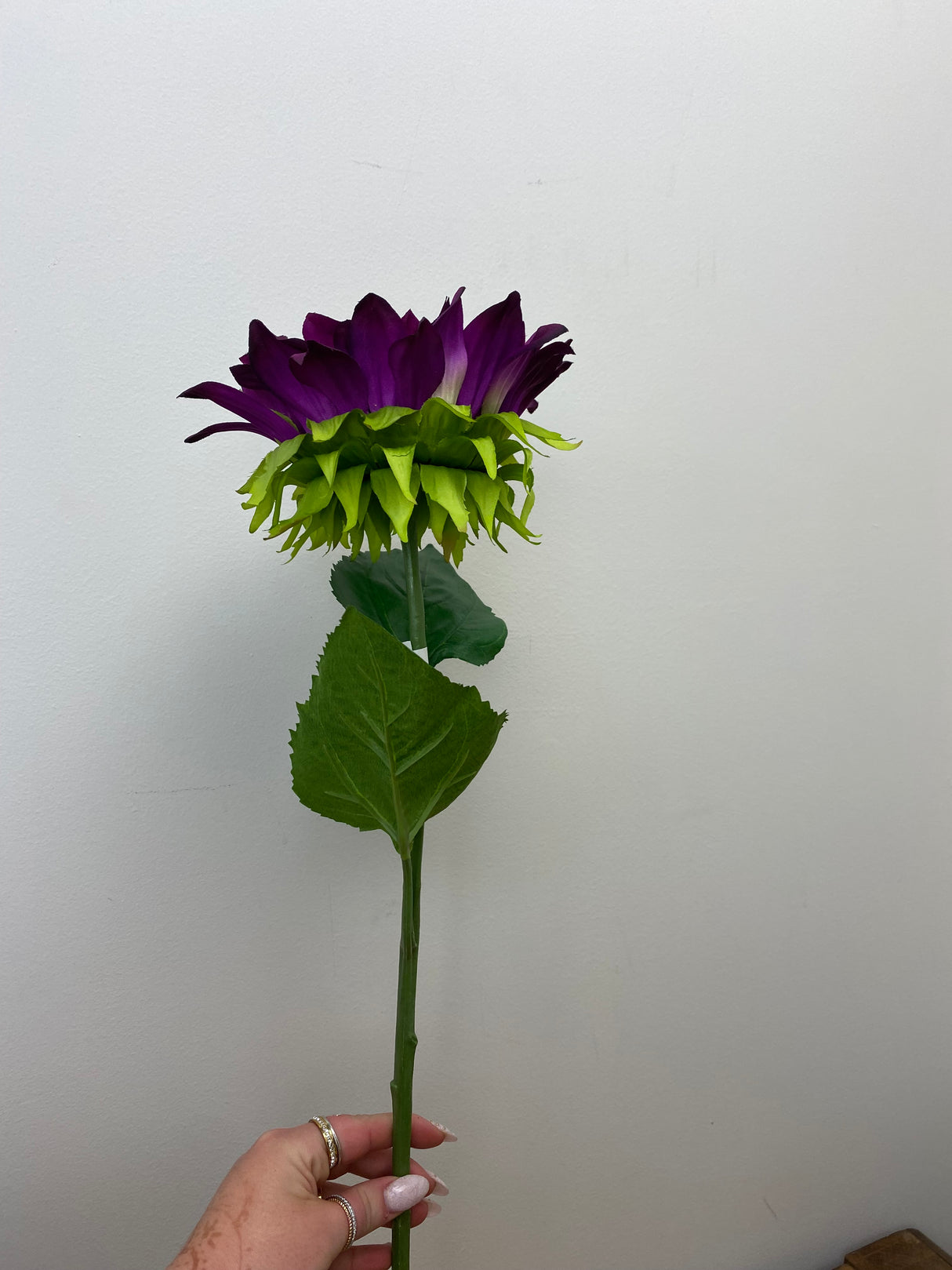 Purple Passion Single Sunflower Spray