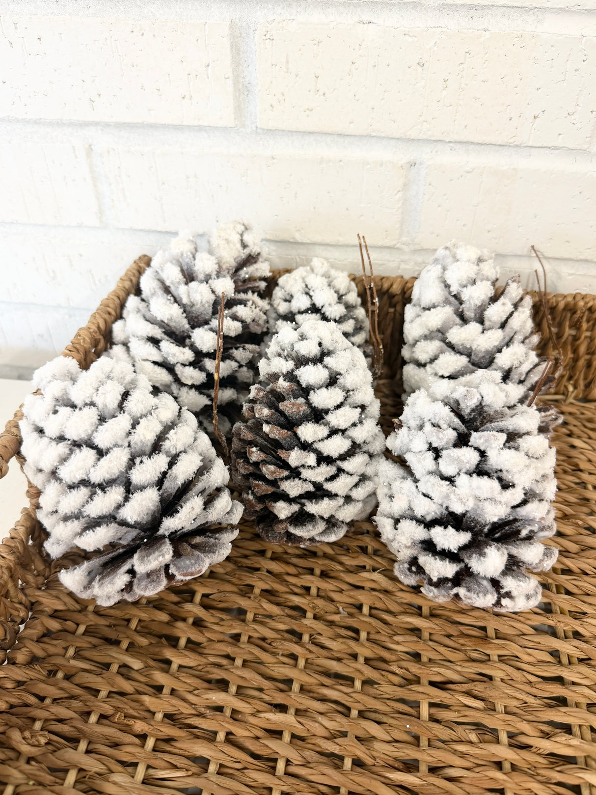 Natural Snow Pine Cone Bag