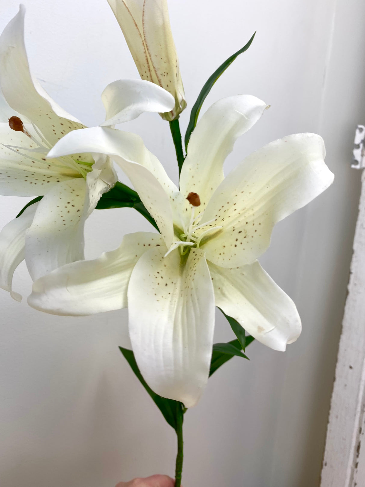 UV Protect White Tiger Lily Spray