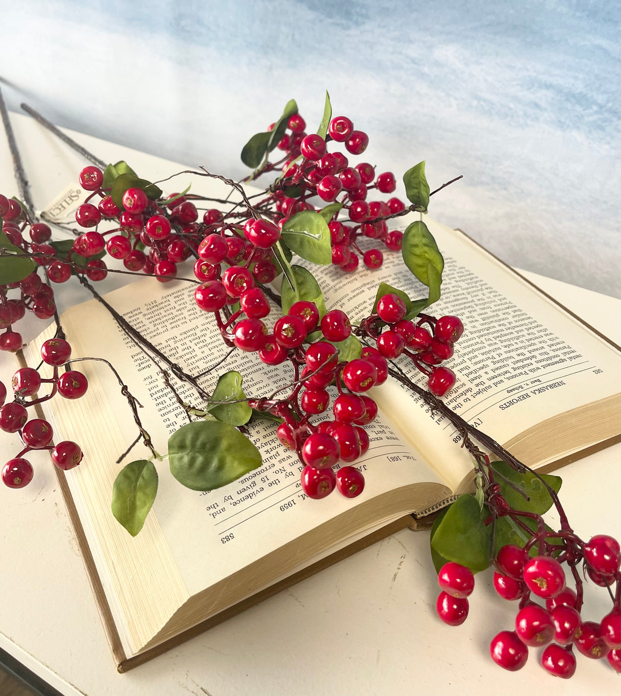 Red Hawthorn Berry Spray