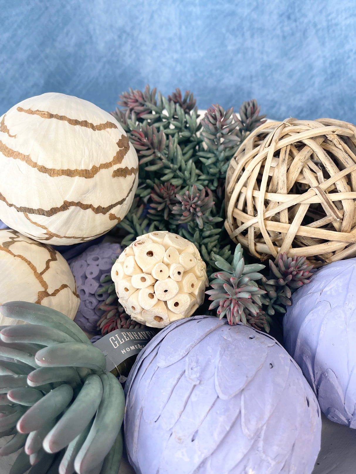 Dried Exotics Orbs Bag - 5 Colors