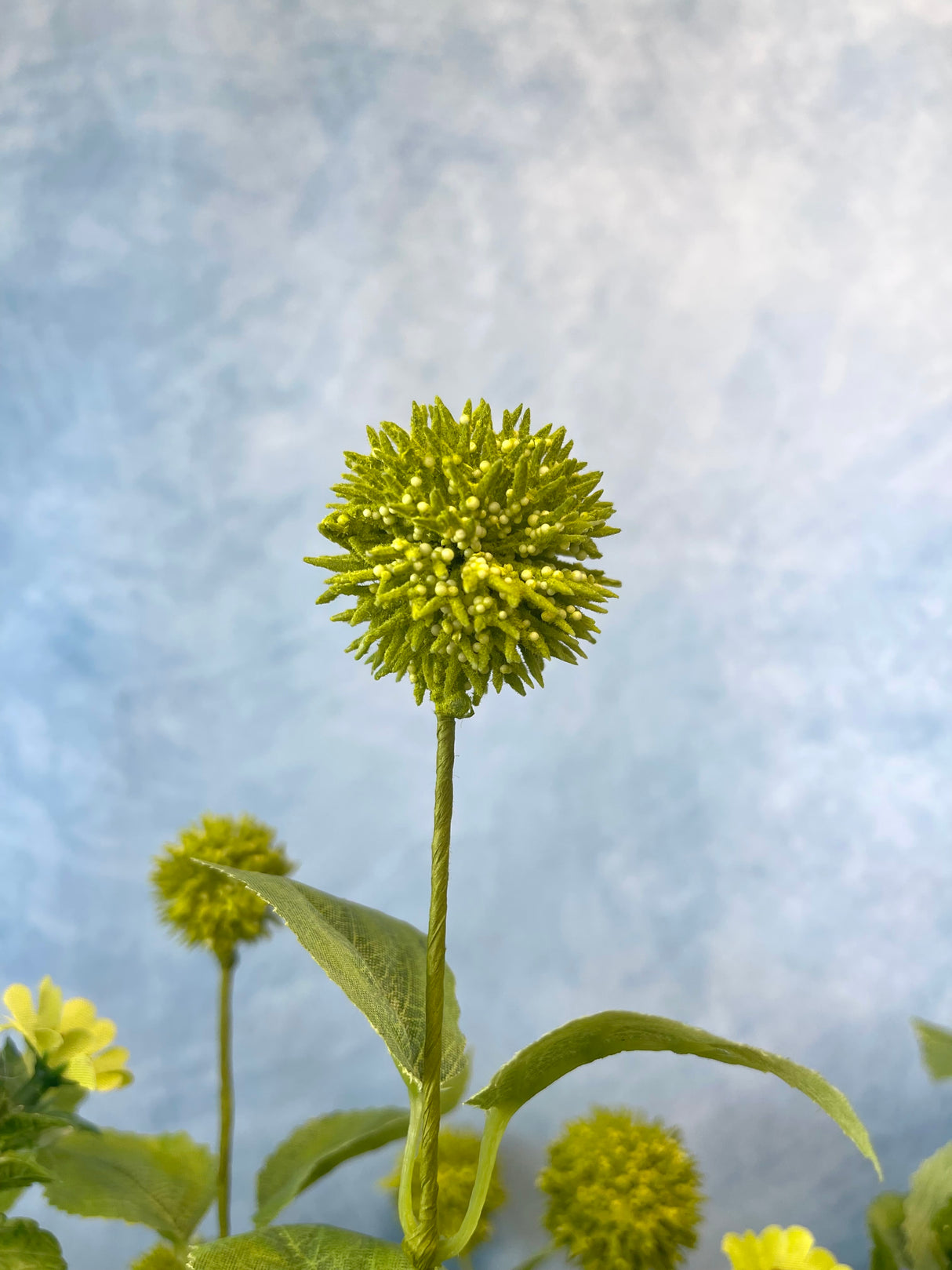 Wild Wind Flower Spray