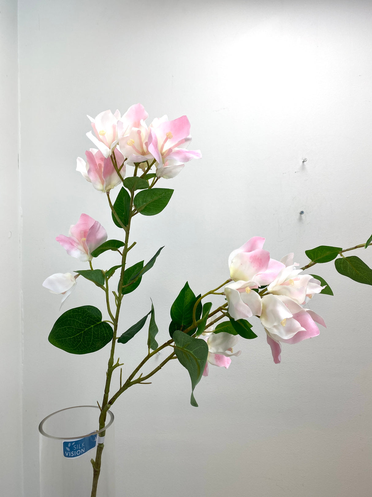 Greenhouse Pink Bougainvillea Spray