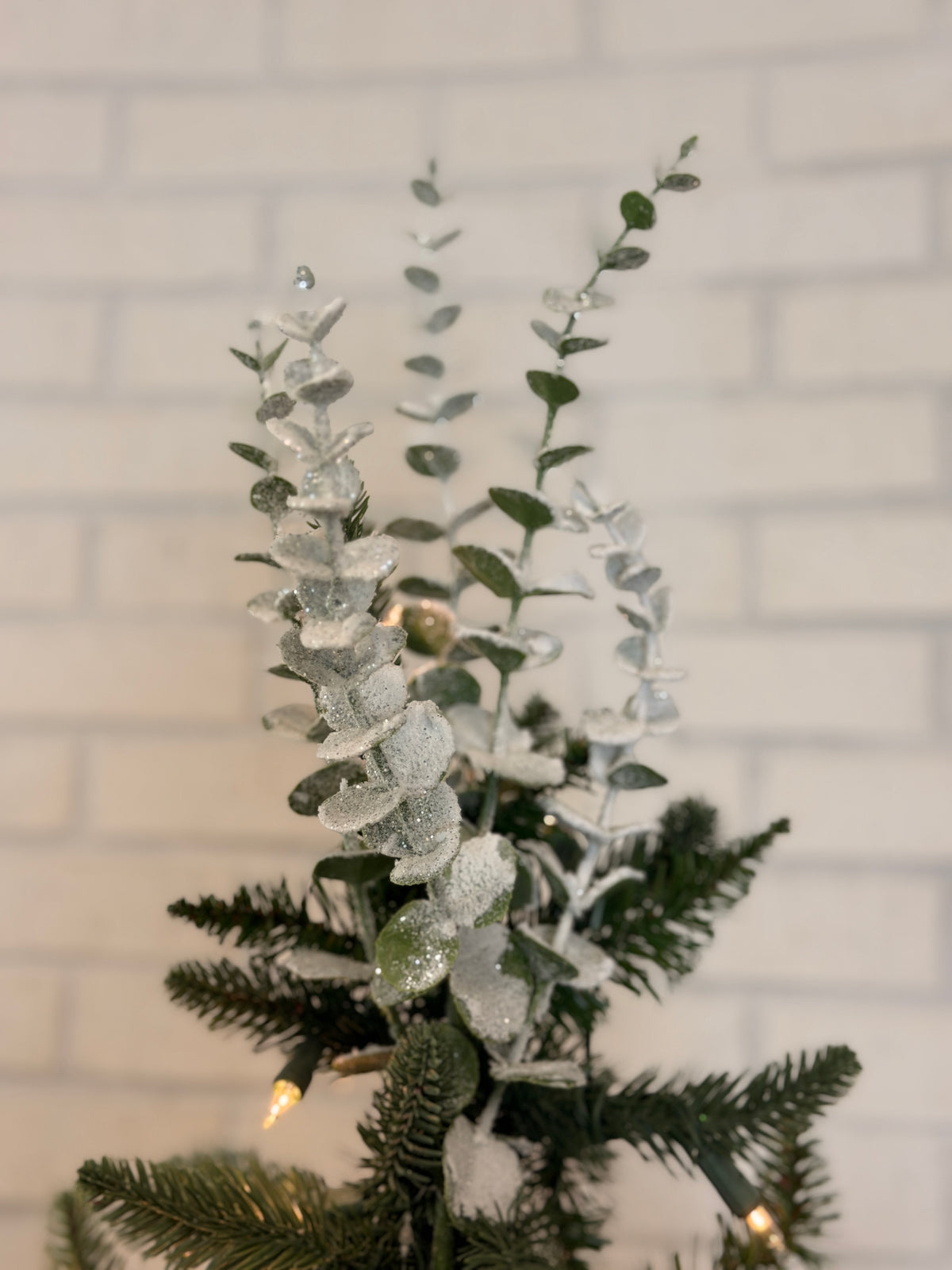 White Snowed Eucalyptus Spray