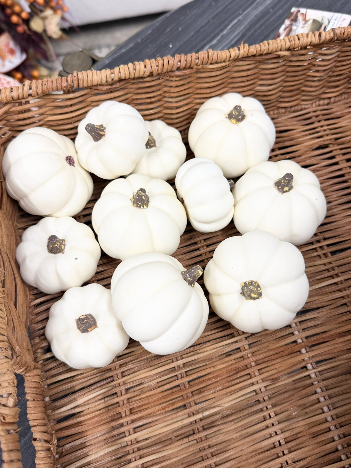 Assorted Cream Pumpkin Bag