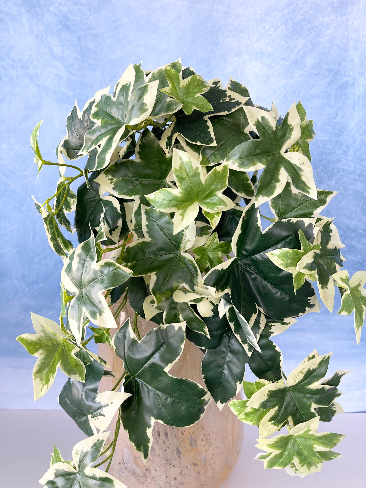 UV Protect Hanging Garden Ivy Bush