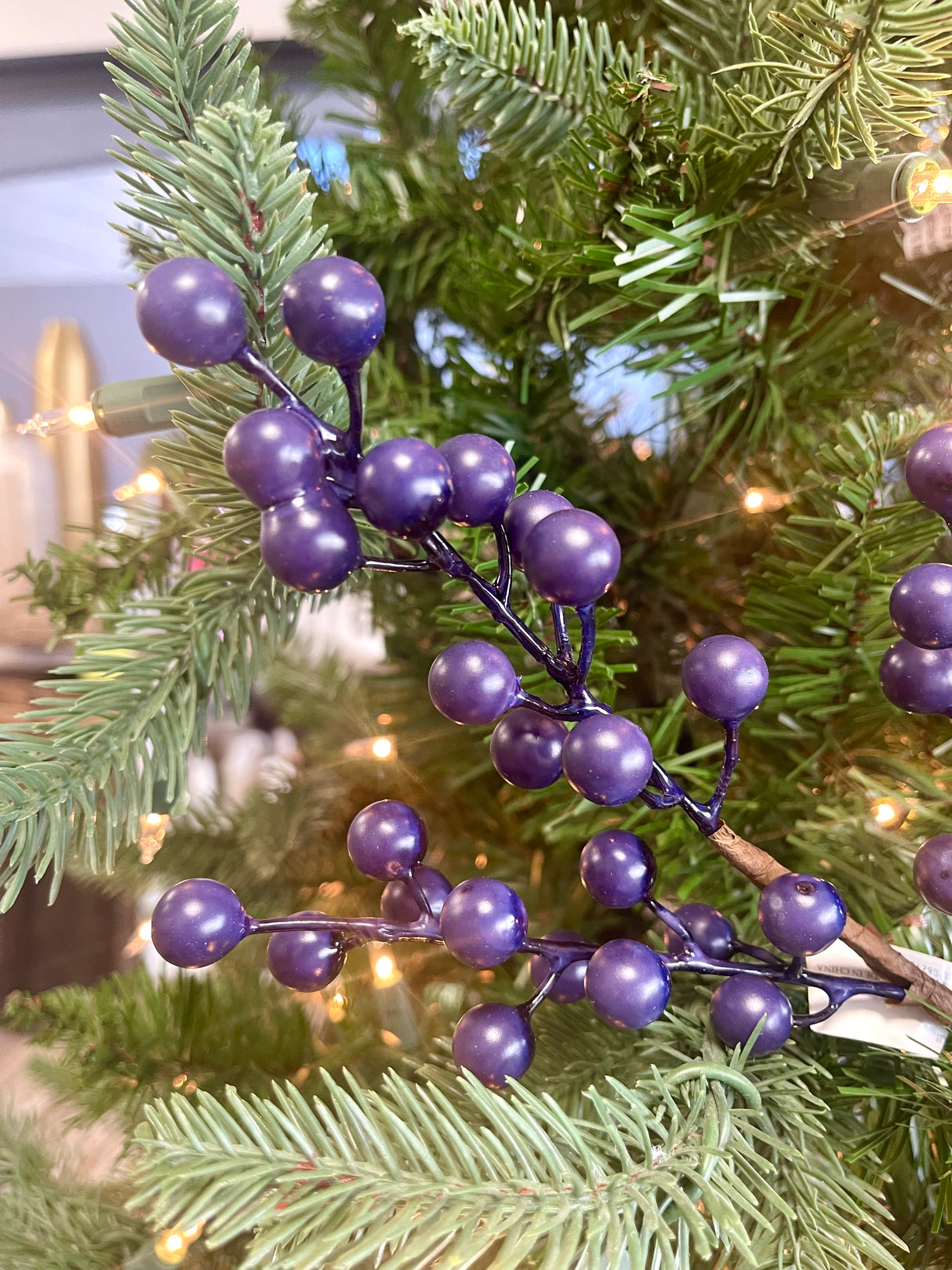 Blue Bitty Berry Pick