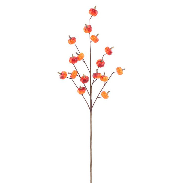 Orange Pumpkin Spray