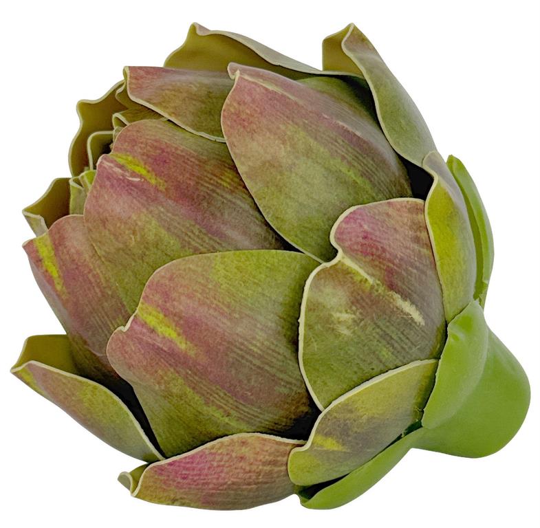 Green Red Artichoke