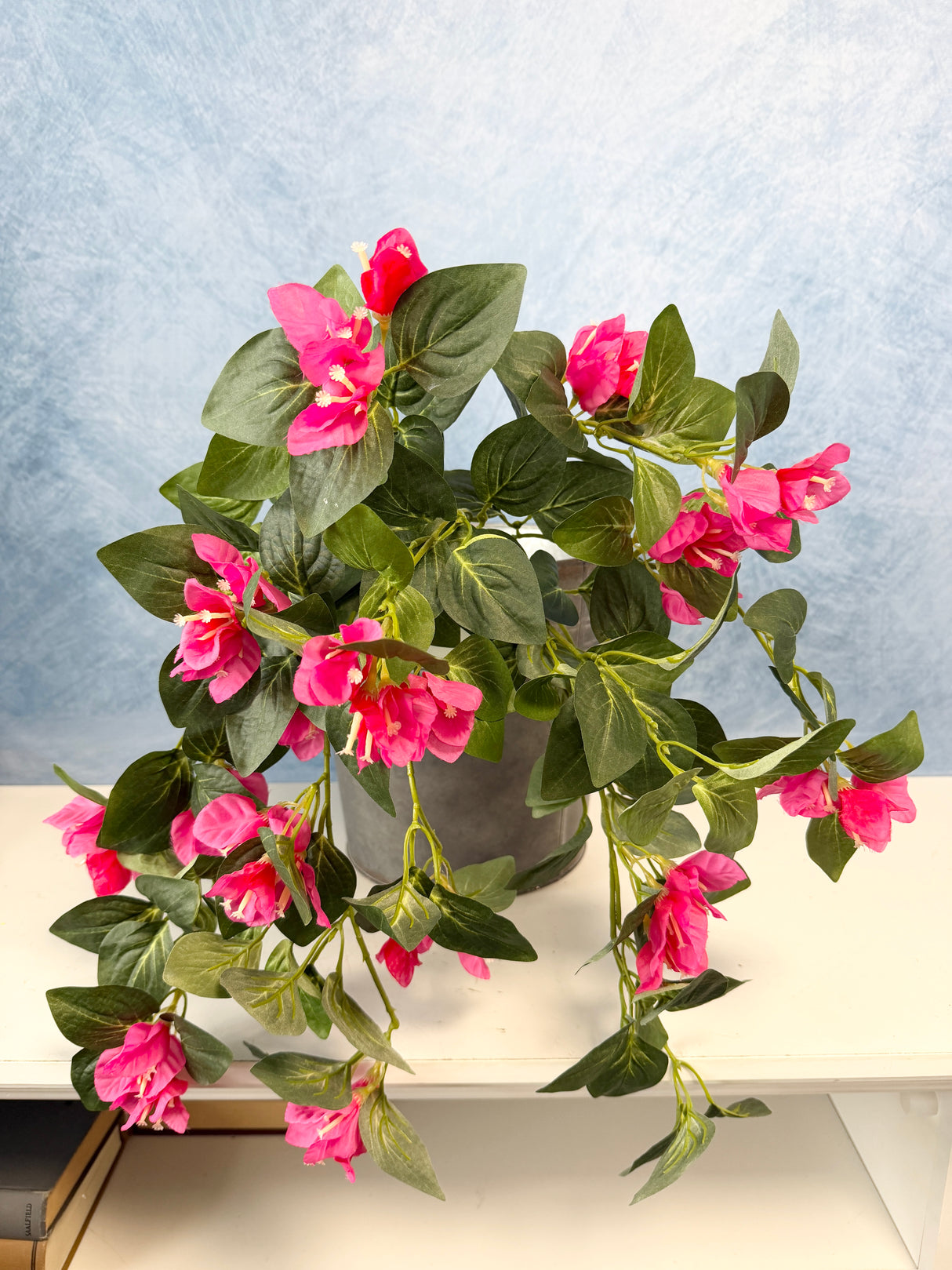 UV Protect Hanging Bougainvillea Bush