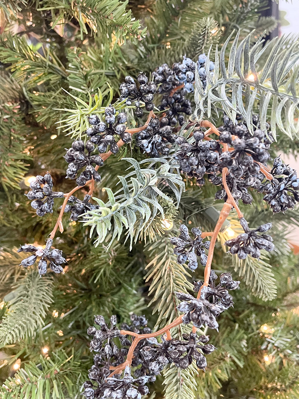 Blue Berry White Sugar Spruce Spray