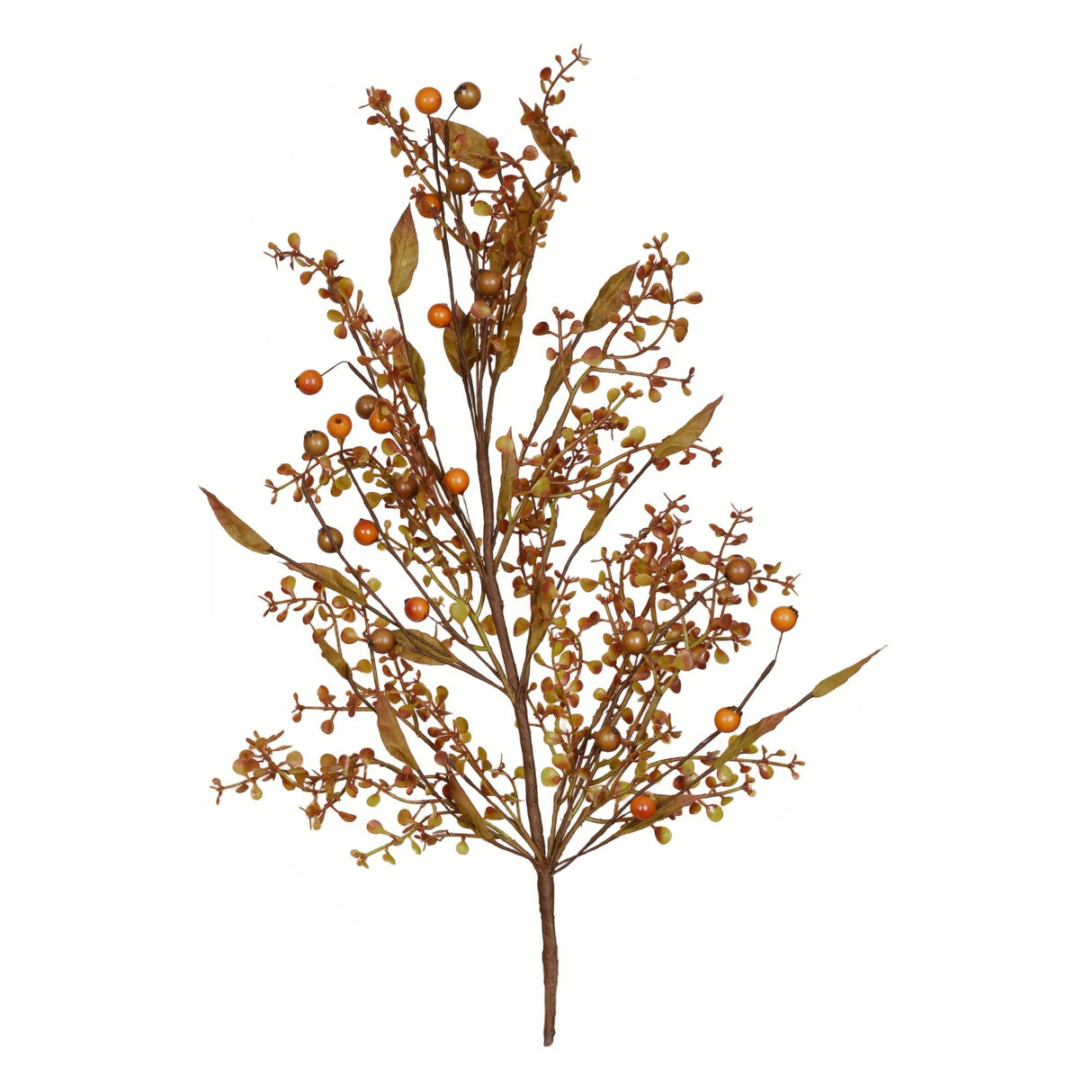Fall Peppergrass & Berry Pick