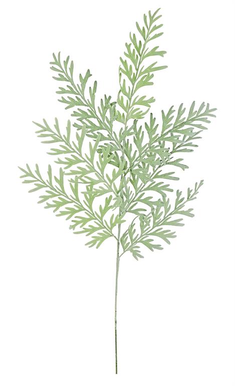 Sage Grevillea Spray