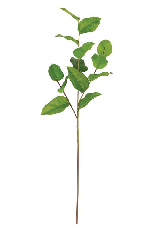 Green Salal Leaf Spray