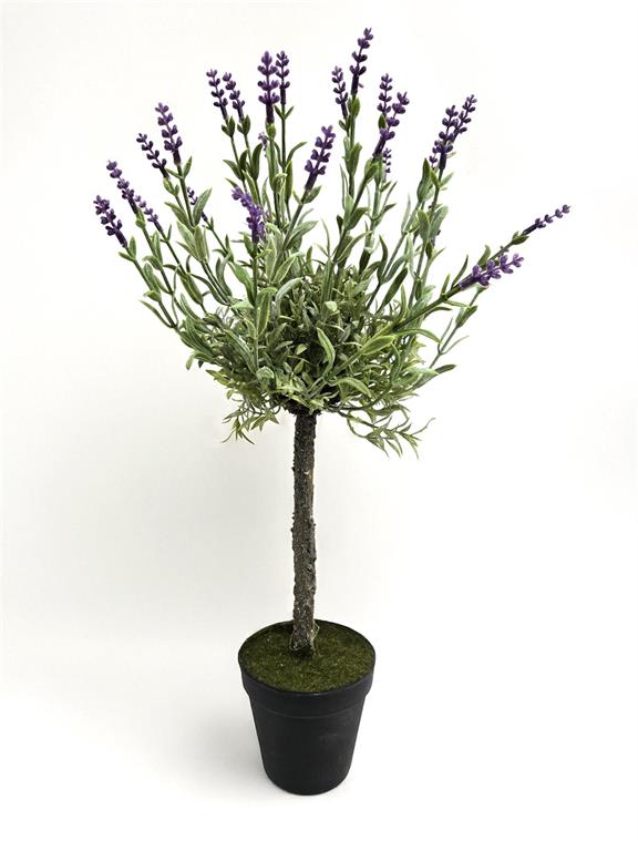 Potted Lavender Topiary Plant