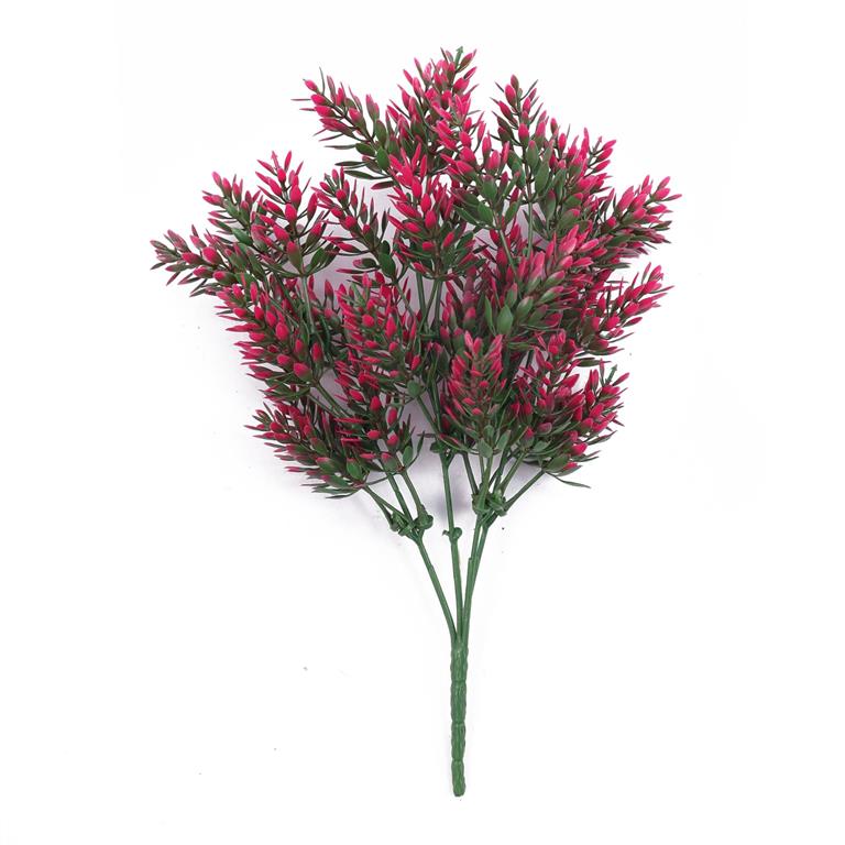 UV Protect Fuchsia Noble Bush