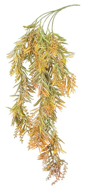 Orange Fall Bald Cypress Hanging Vine