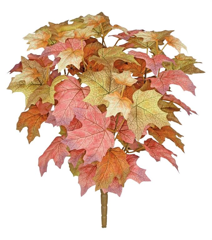 Fall Maple Bush