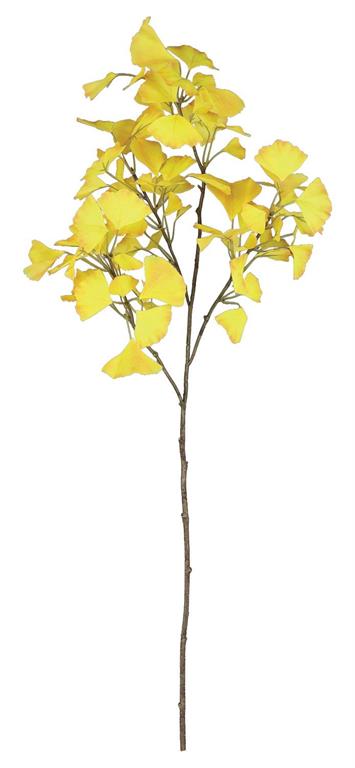 Yellow Gingko Leaf Spray