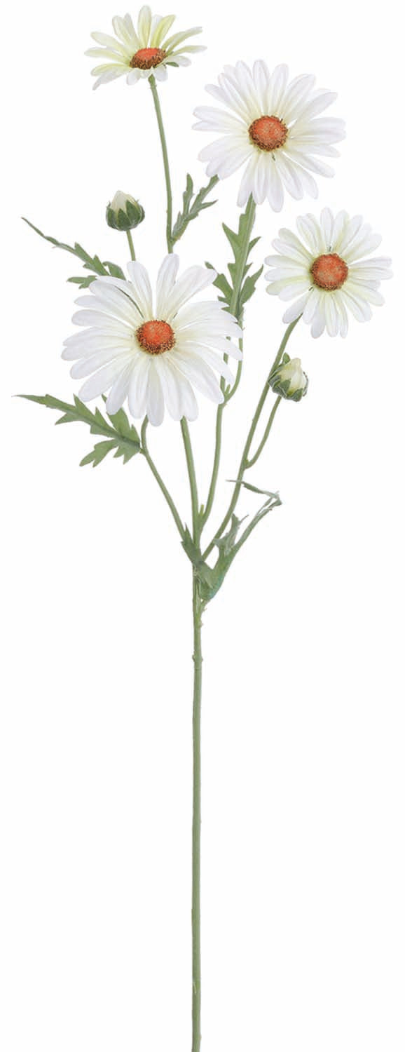 Timeless White Daisy Spray
