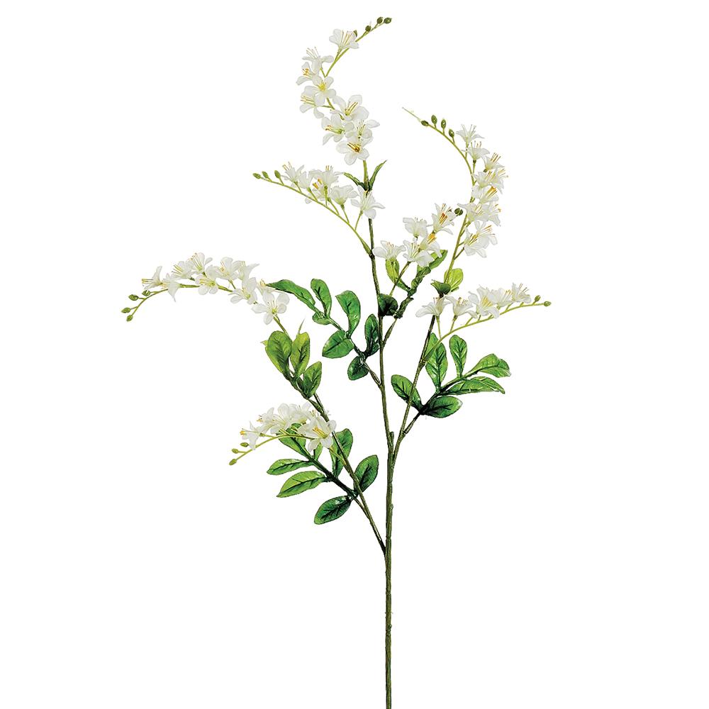 White Vinca Spray