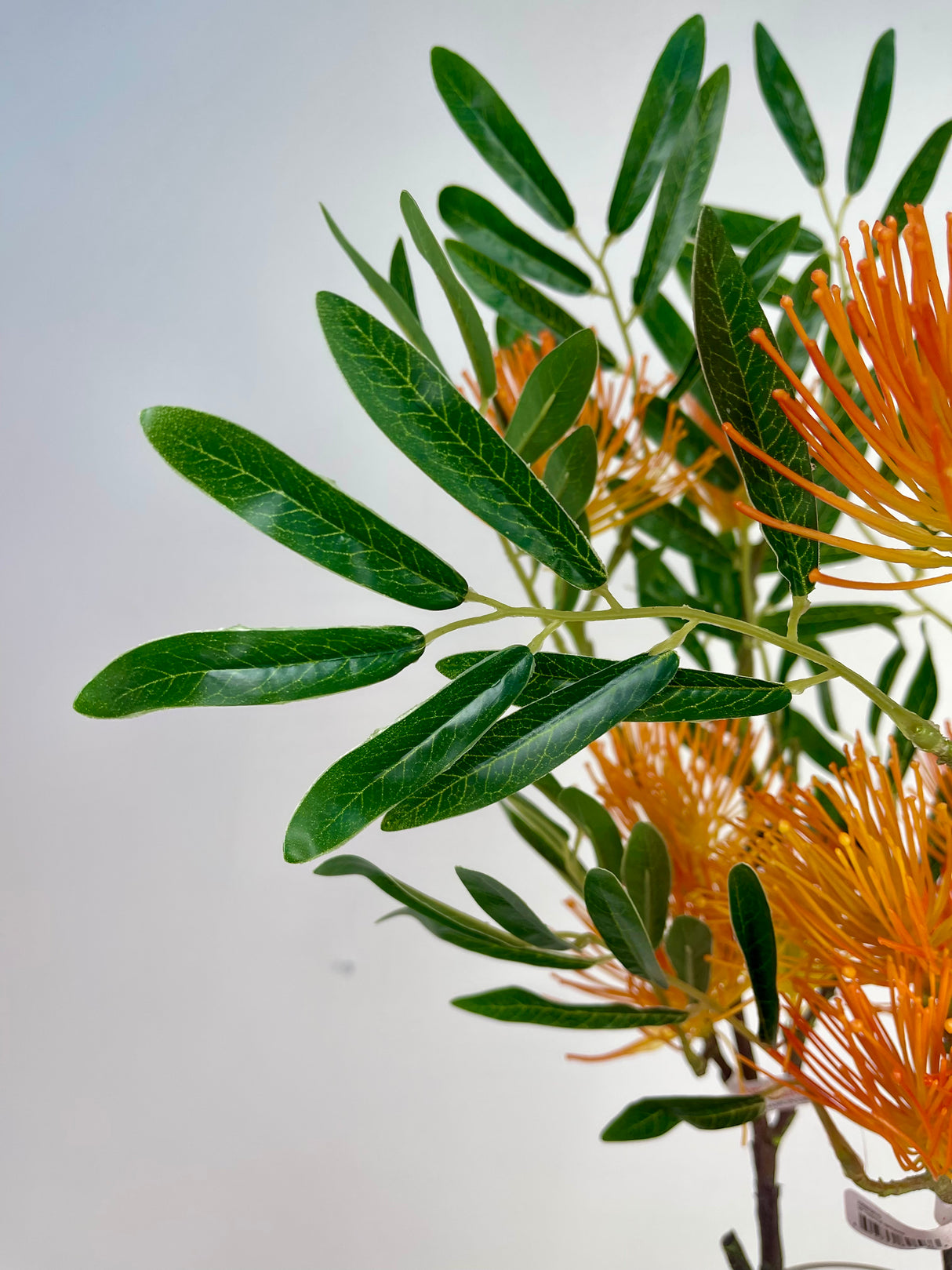Sunset Thistle Spray