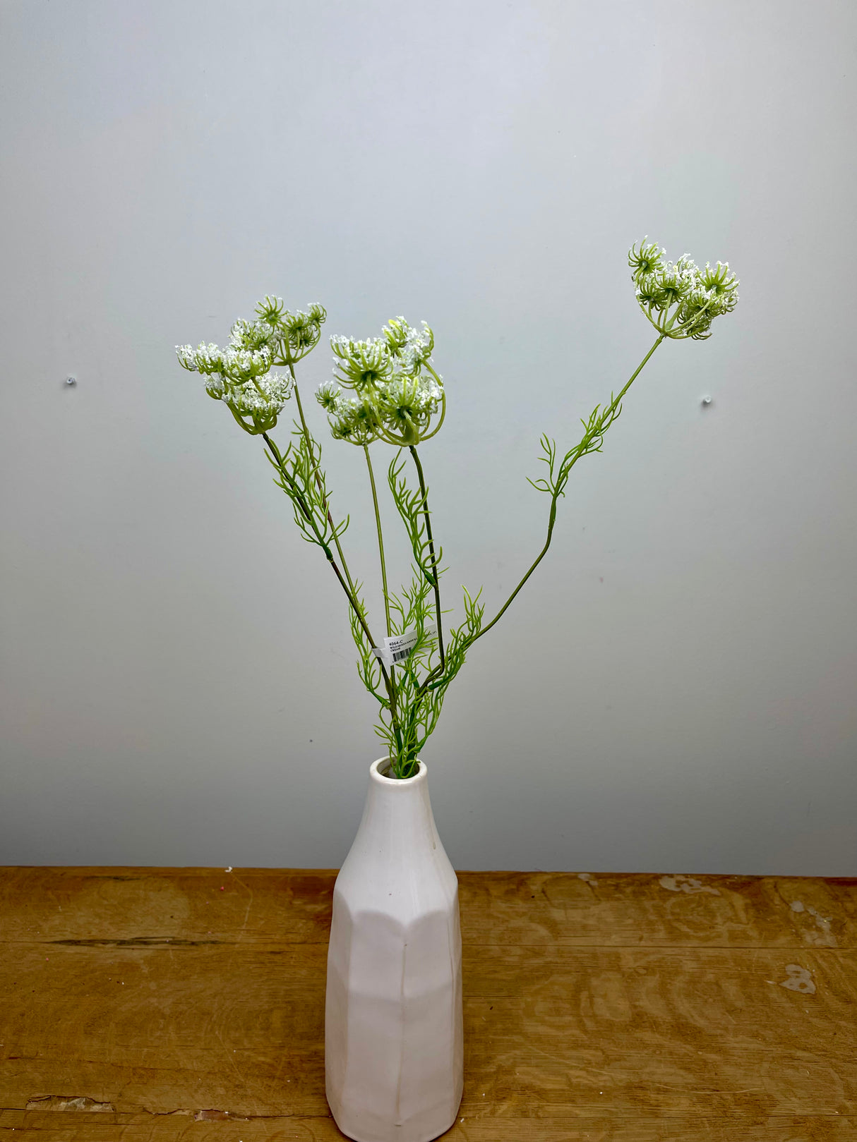 Wild Queen Annes Lace Spray