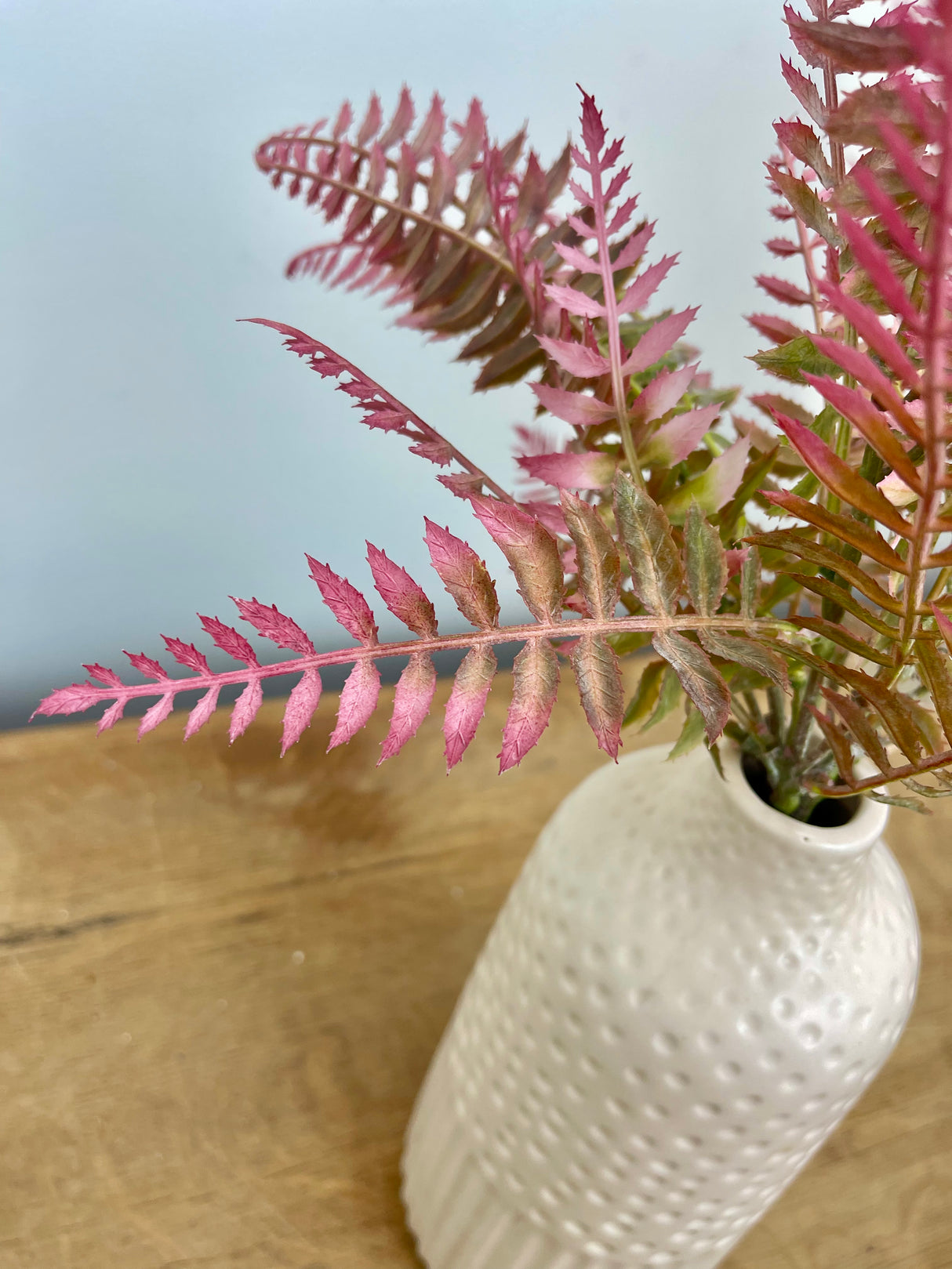 Mauve Fern Bundle