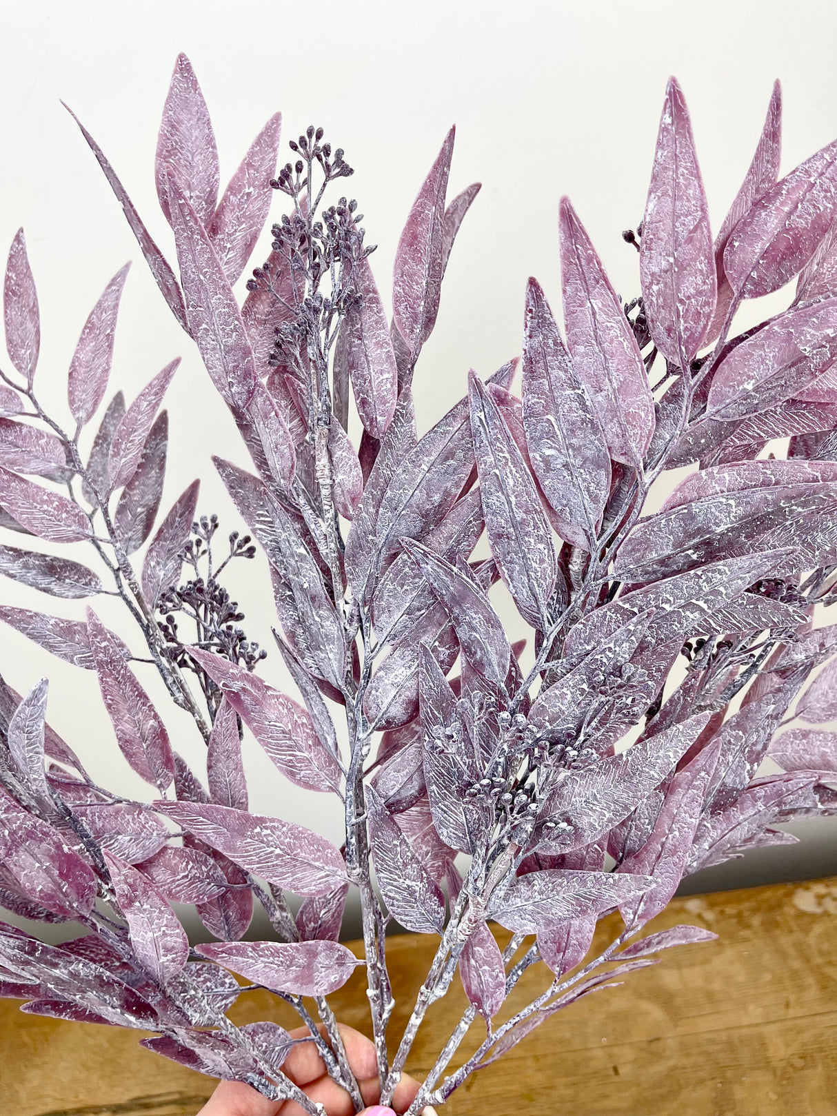 Seeded Dusty Bayleaf Bush