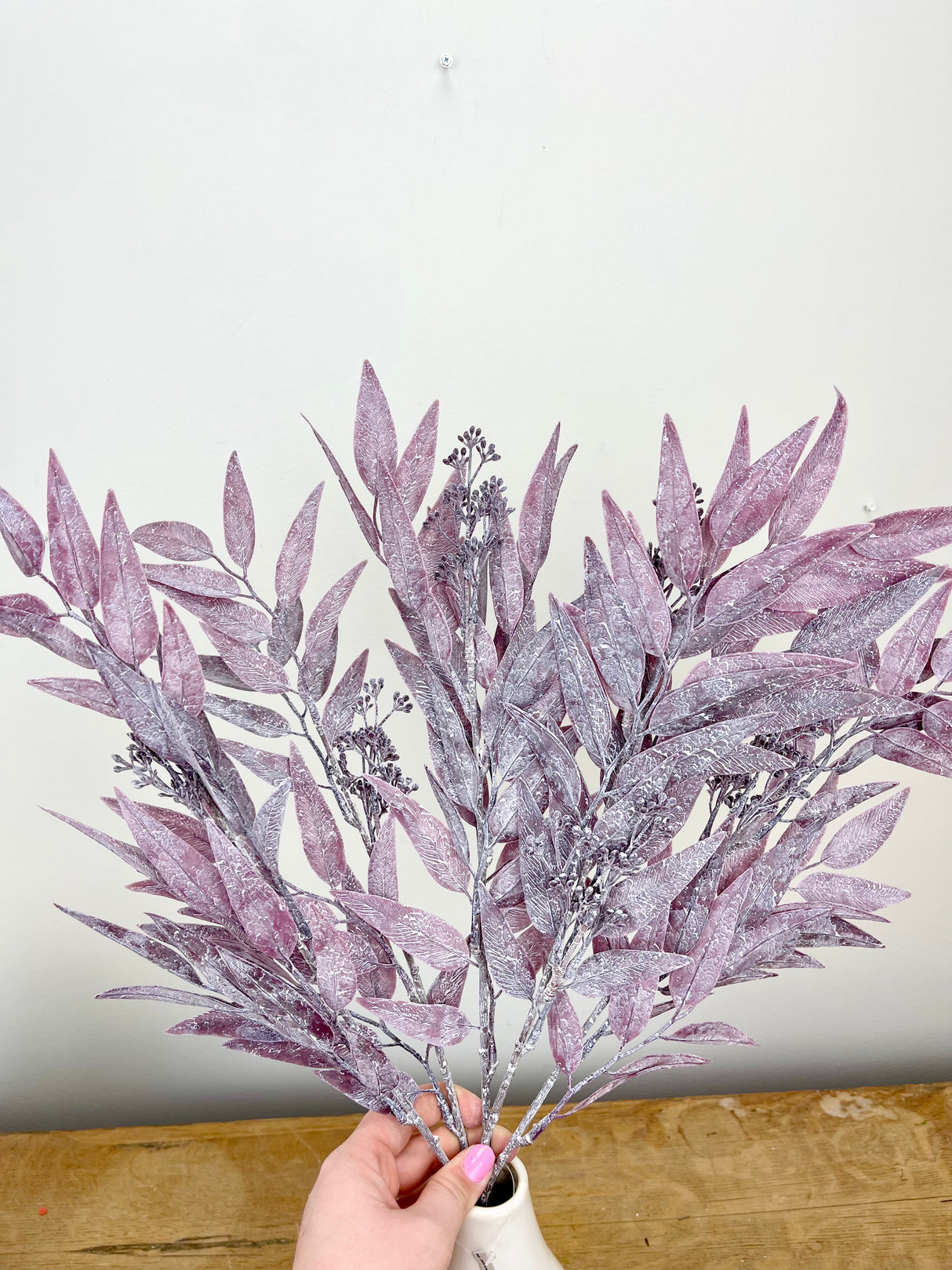 Seeded Dusty Bayleaf Bush