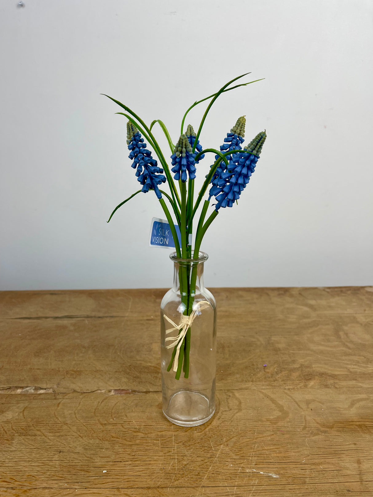Blue Muscari Bundle