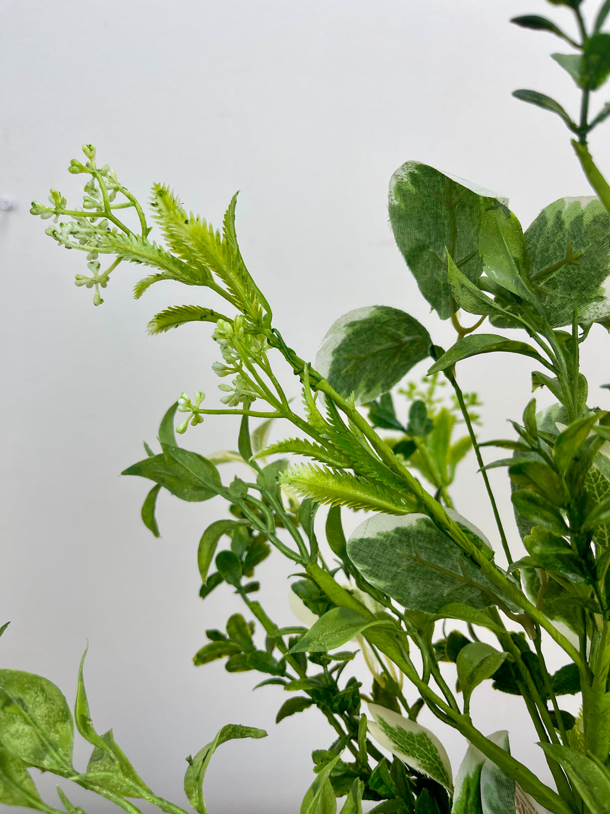 Blooming Foliage Bush