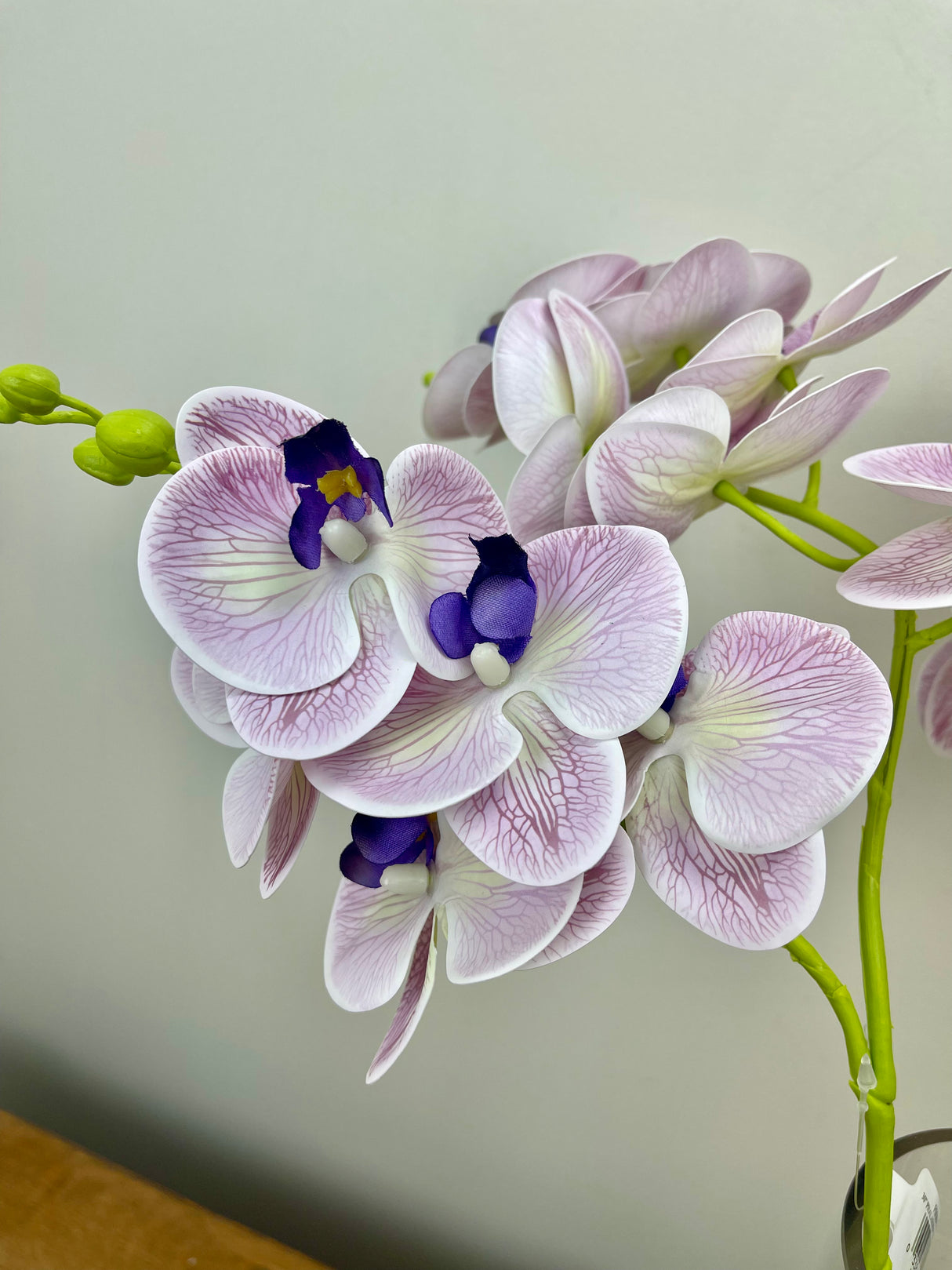 Light Purple Orchid Spray