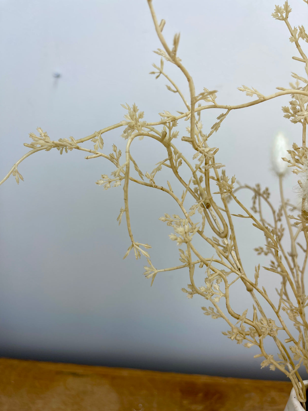 Beige Cattail Grass Bundle